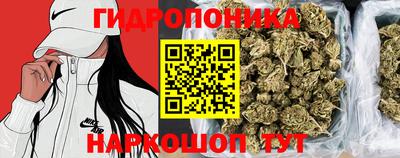 стафф Обь