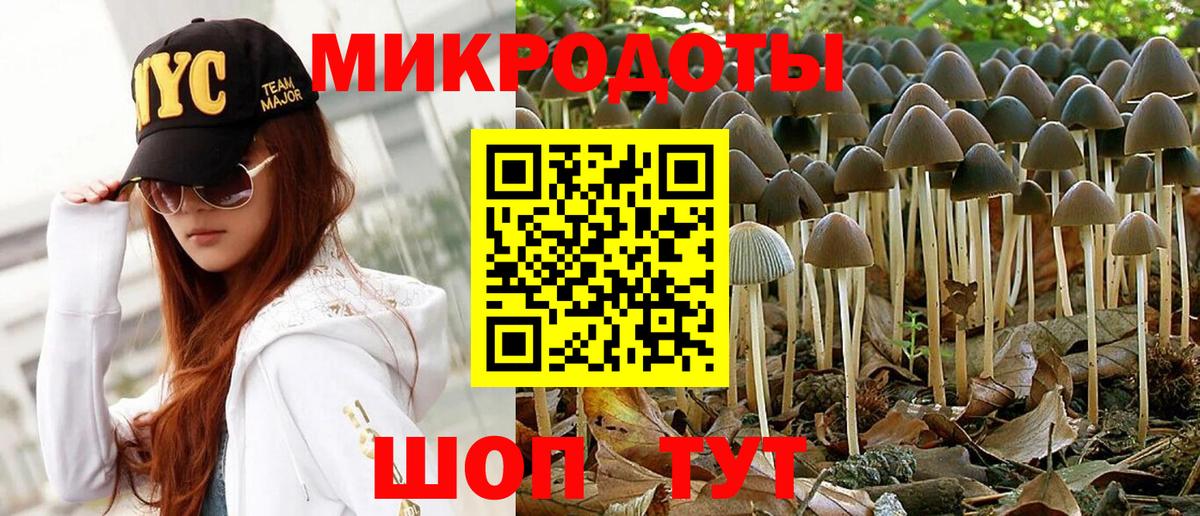Псилоцибиновые грибы прущие грибы  Вход с VPN  Тверь 