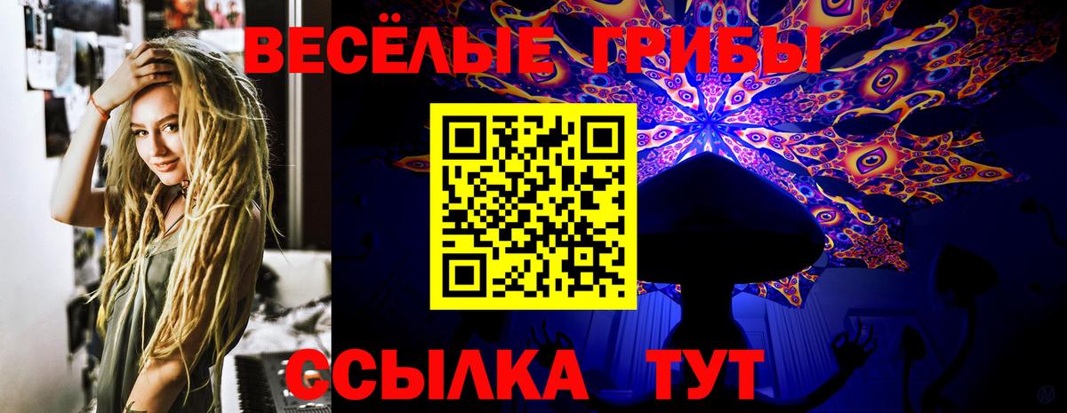 Галлюциногенные грибы мицелий Тверь